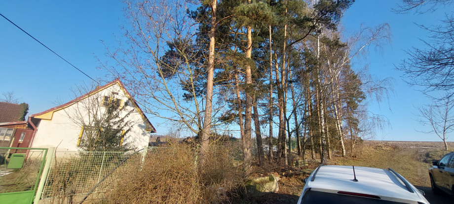 20250217_091234.jpg