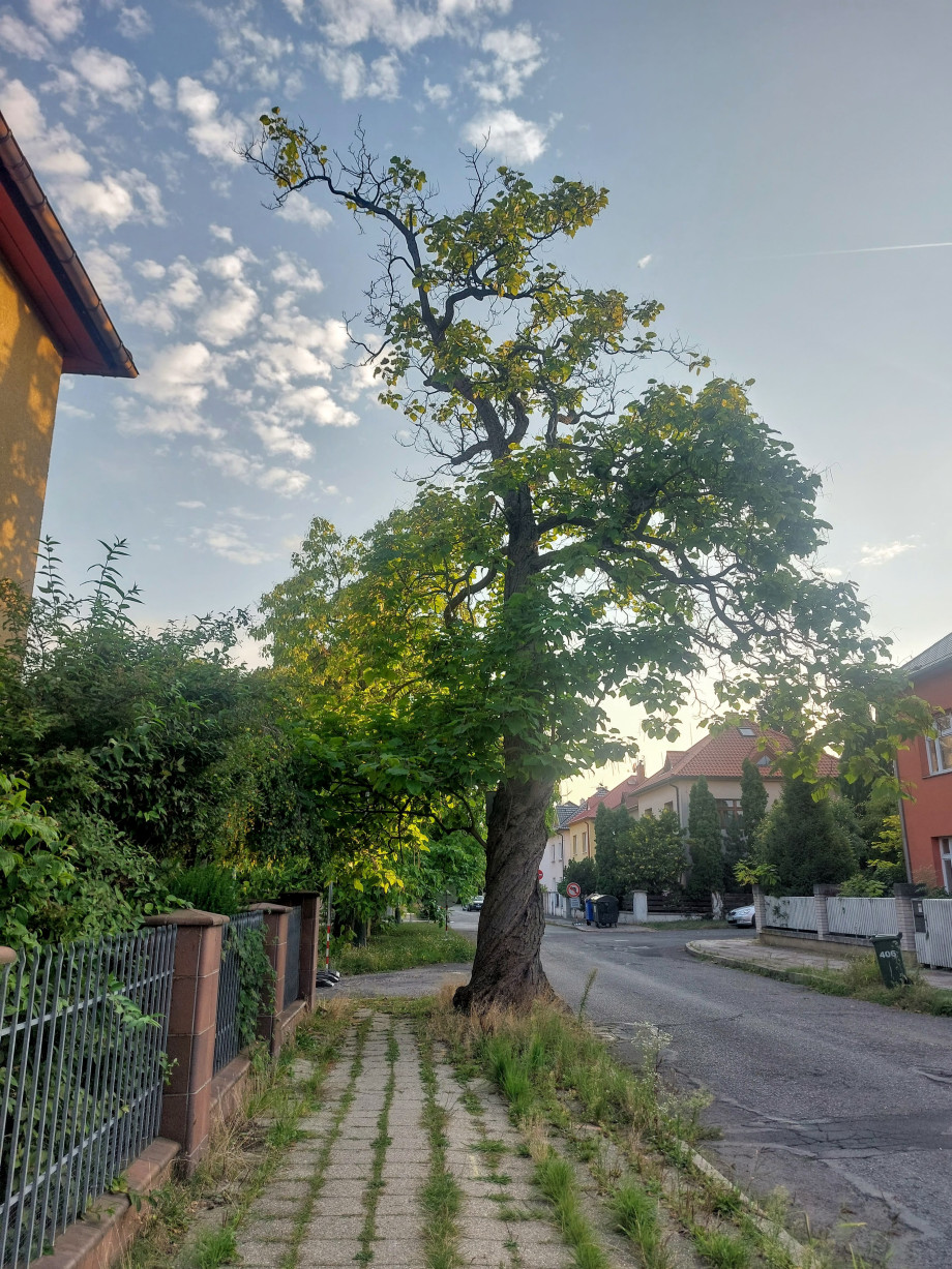 20250827_185018.jpg