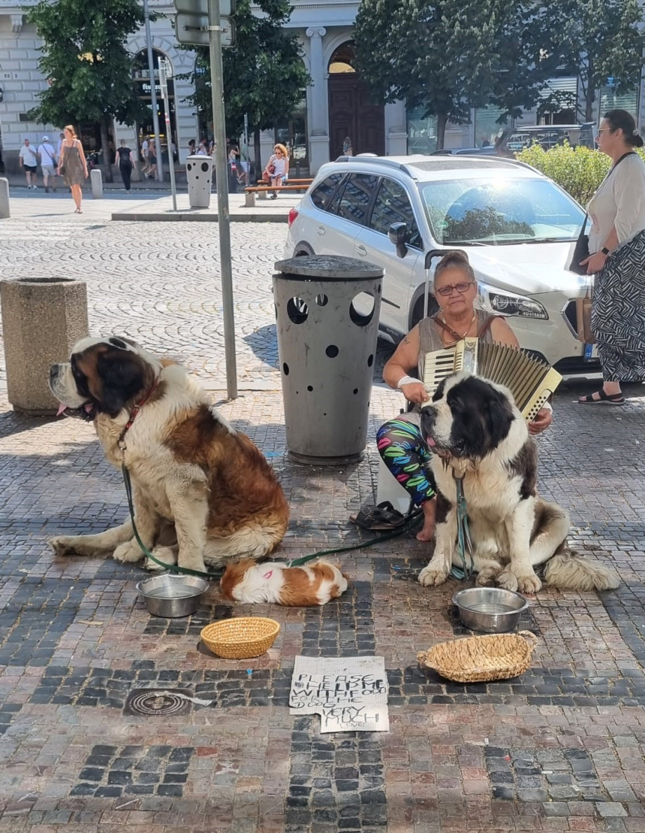 Obrázek_WhatsApp,_2024-06-25_v_17.42_.31_787ad6cc_.jpg