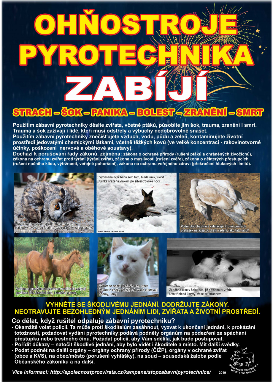 PLAKAT-Ohnostroje-pyrotechnika-zabiji-final(1)6.jpg