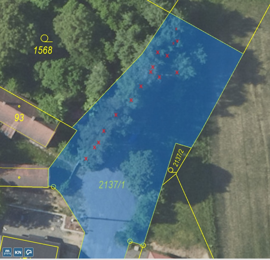 Petice_Mapa_2025-06-29_.jpg