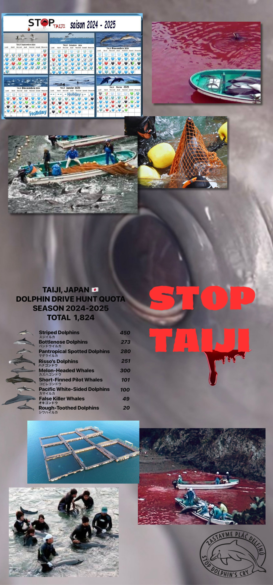 STOP_TAIJI1.jpg