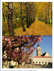 Slavonice.jpg
