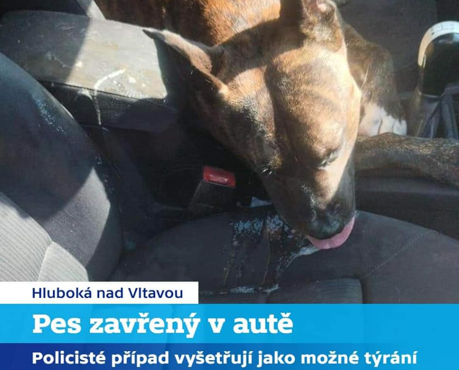 Snímek_obrazovky_2023-07-20_022717.png