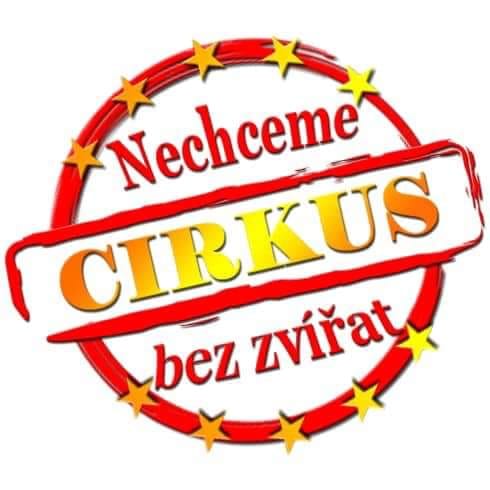 cirkus11.jpg